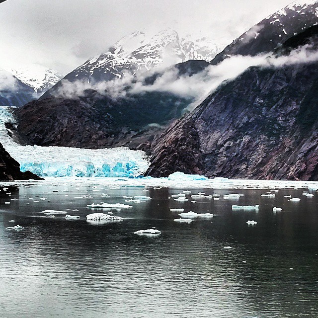 This picture doesn't do true justice to the beautiful glacier blue of Sawyer Glacier.